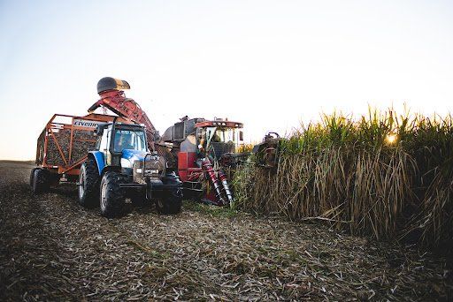 Avanza la zafra en la provincia de Tucumán.