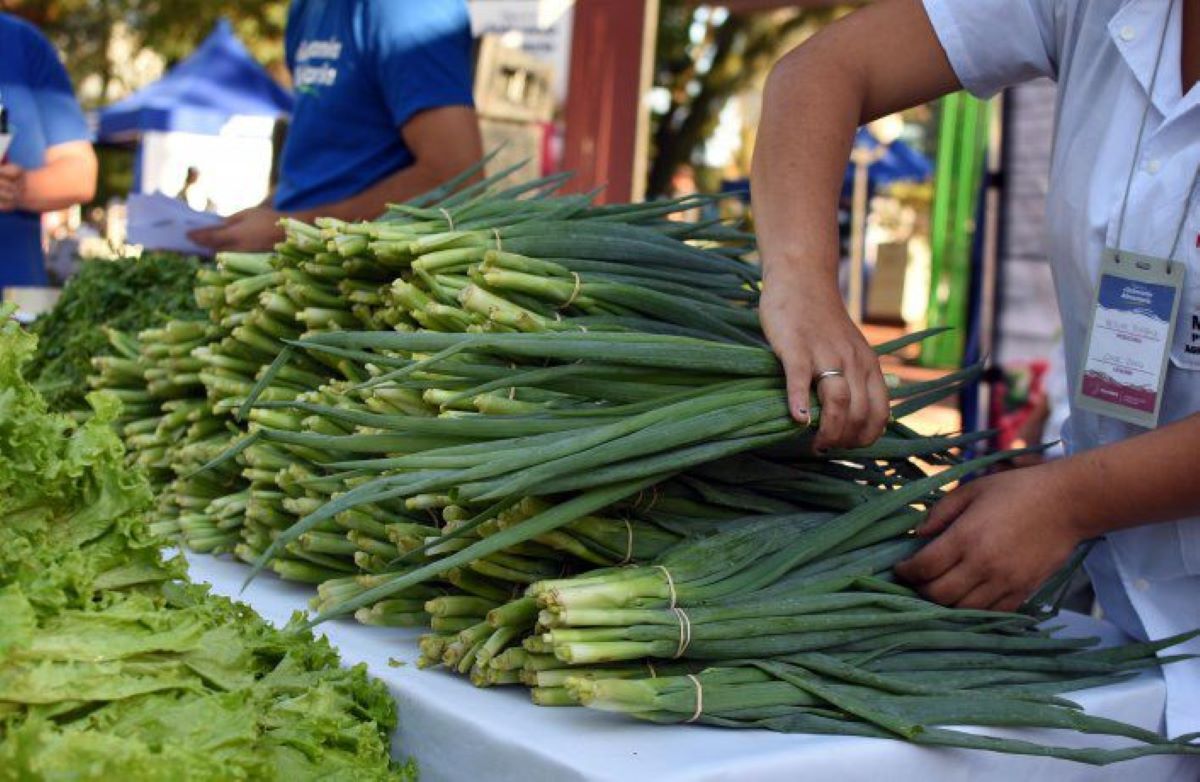 Brecha de precios consumidor-productor bajó 5% en septiembre