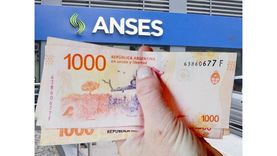 Nuevo bono de Anses: Las condiciones para acceder a los $17000.