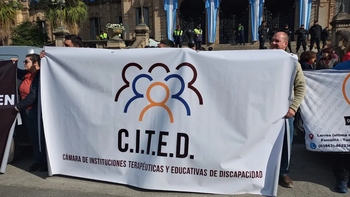 Nueva Ley de Discapacidad: advierten que 