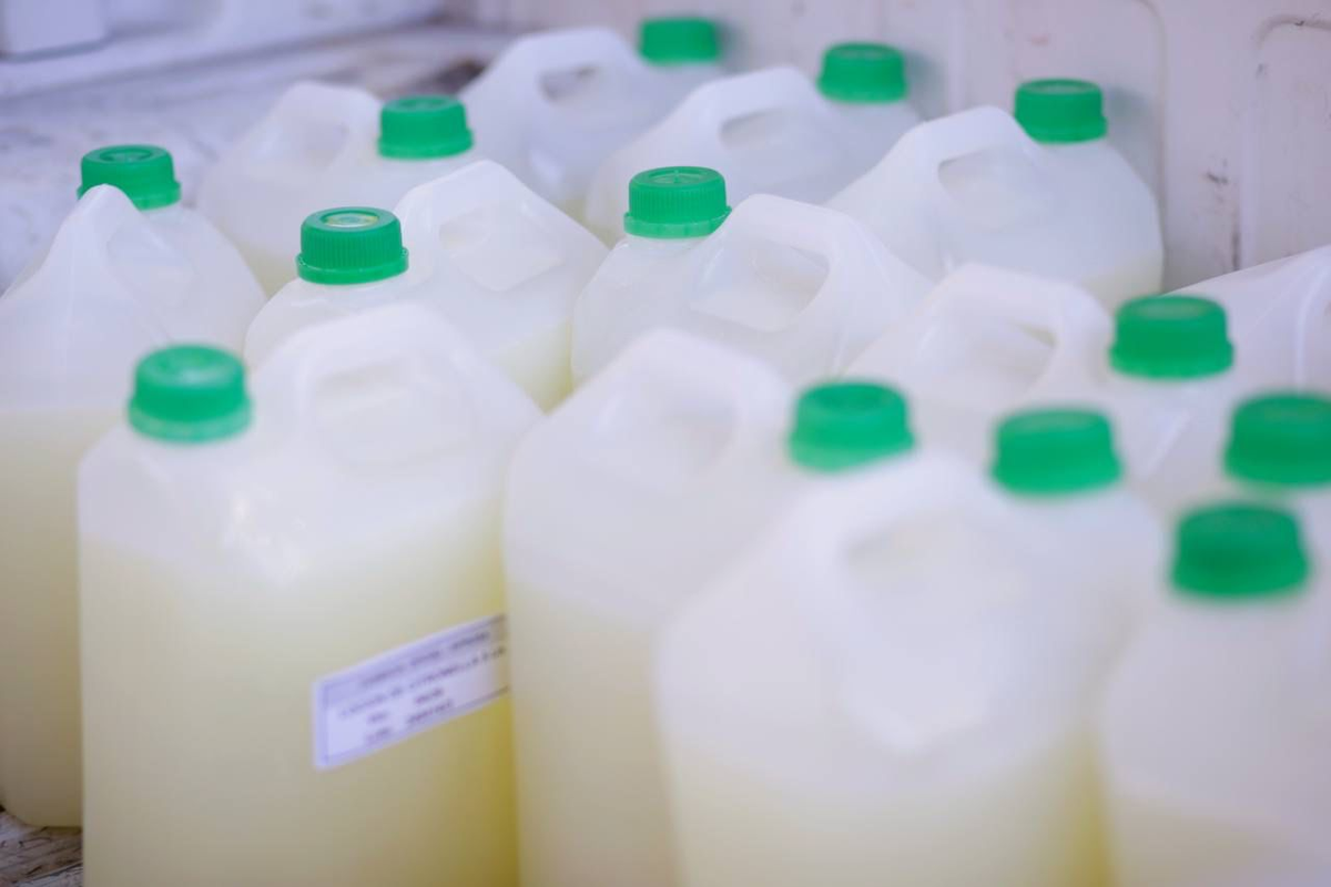 Foto: Gobierno de Tucumán. Foto: Gobierno de Tucumán.