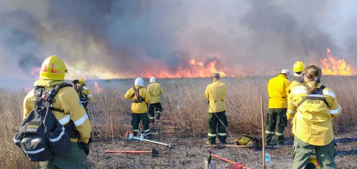 Delta del Paraná: brigadistas y medios aéreos trabajan en combatir incendios