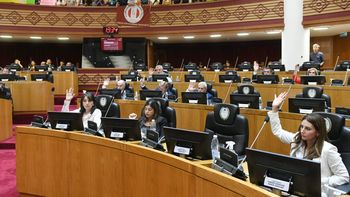 Acompañantes Terapéuticos: aprobaron la ley que regula el ejercicio profesional