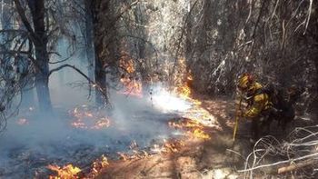 Gobernadores de la Patagonia piden al Congreso una ley de Emergencia Ígnea