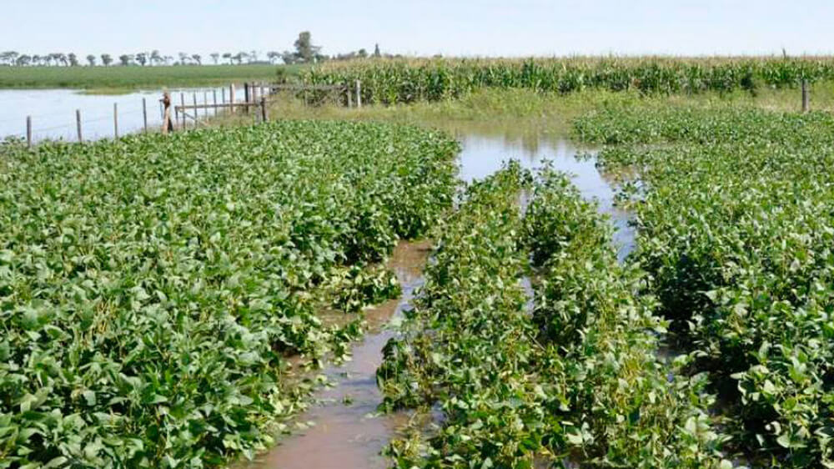 Incidencia de las lluvias en Tucumán: 