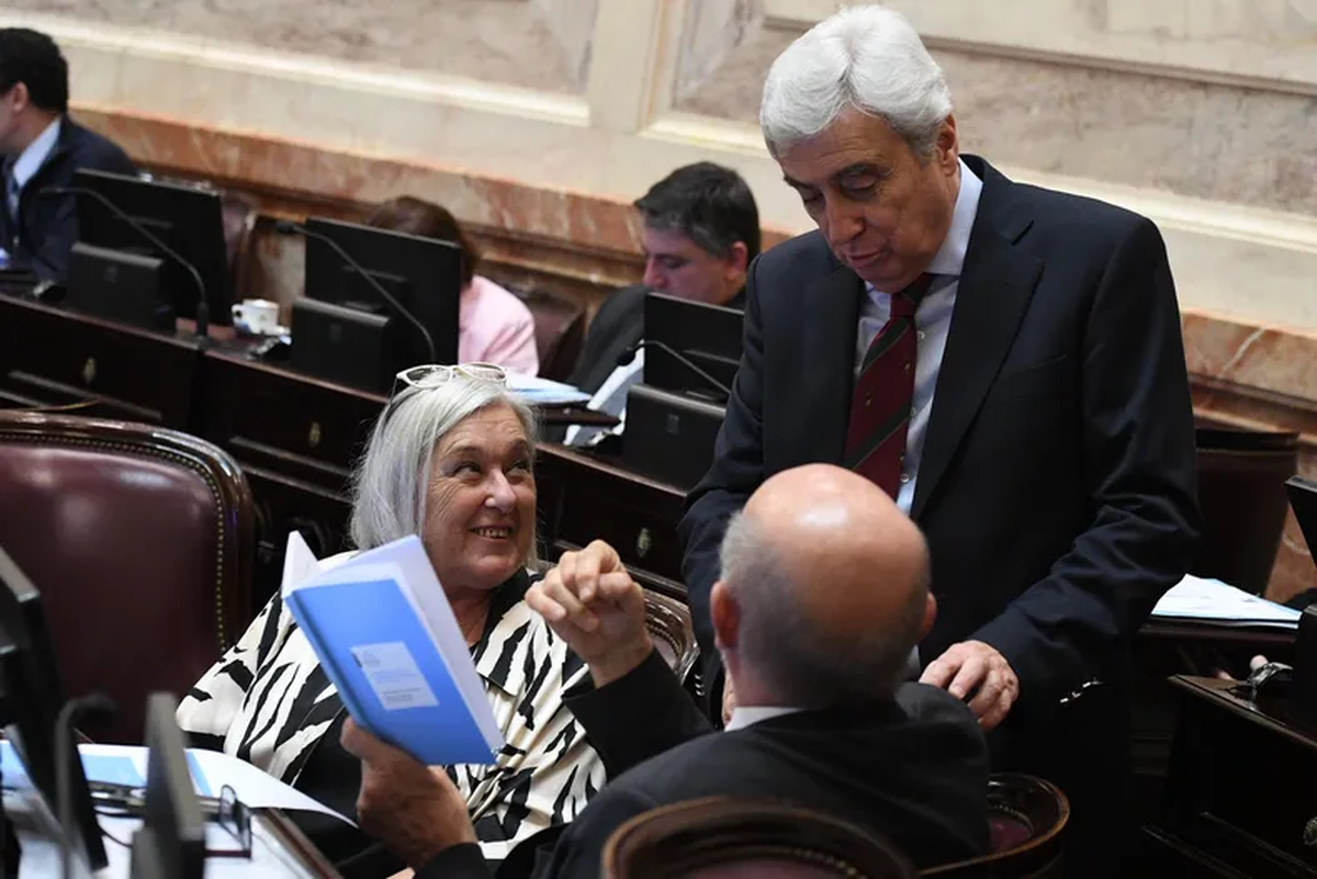 The Senate has definitively rejected the DNU that grants millions of dollars to the SIDE.