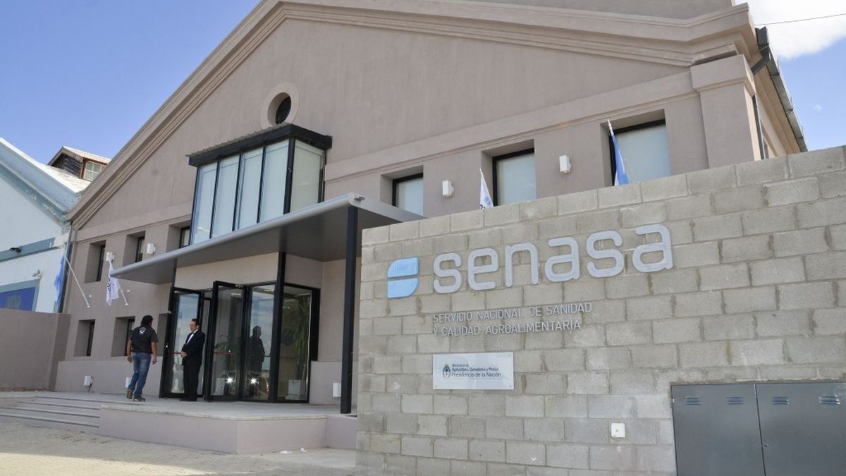 ATE lanza un paro de 72 horas en el SENASA contra la Ley Bases ATE lanza un paro de 72 horas en el SENASA contra la Ley Bases