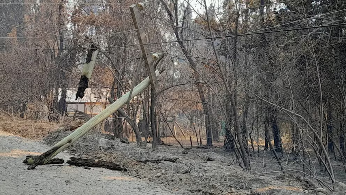 Identificaron a los autores del incendio en El Bolsón: hay más de 100 casas destruidas y declararon la emergencia. Foto: Infobae  