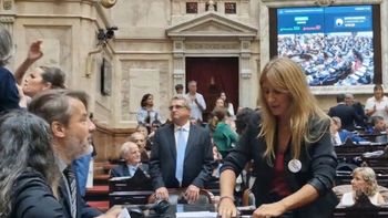Una diputada desconectó cables del taquígrafo durante la sesión