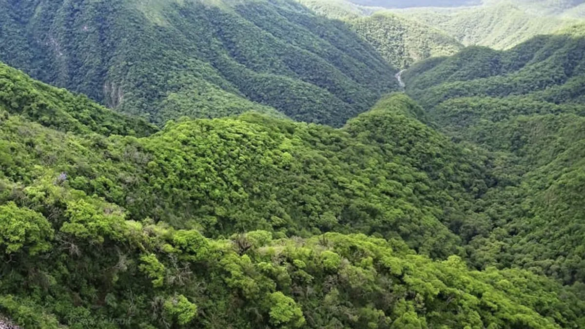 Avanzan las gestiones para el desarrollo de Yungas y Quilmes.  