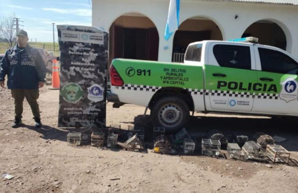 Rescatan aves silvestres que estaban en cautiverio en Lules