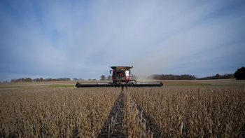 La actividad económica se hundió 2,6% mensual en febrero