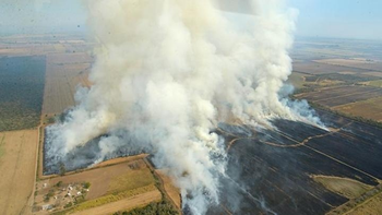 Contaminación: 