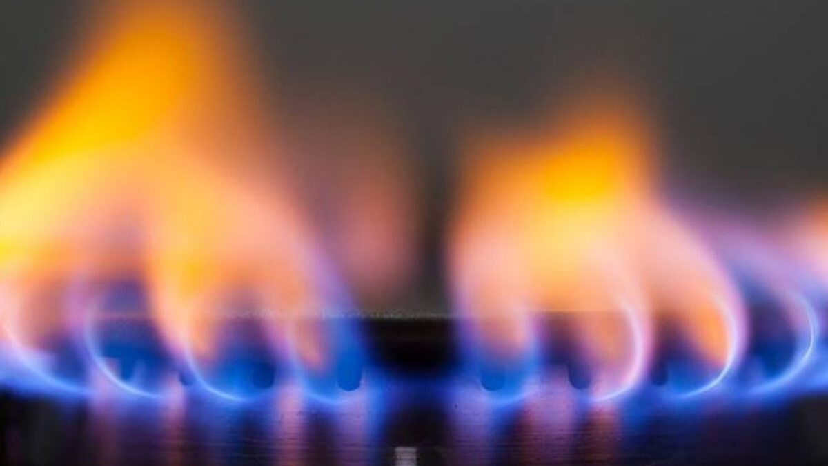 Se deben revisar al menos una vez al año los artefactos de gas natural