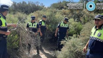 Amaicha: hallaron ocho plantas de marihuana