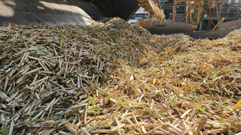 La zafra en Tucumán presenta un avance del 17%