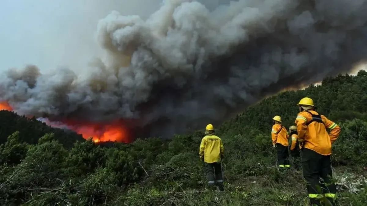 Parque Nacional Nahuel Huapi: El incendio consumió 7000 hectáreas