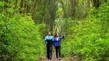 Conocé todas las propuesta para disfrutar del fin de semana en Tucumán