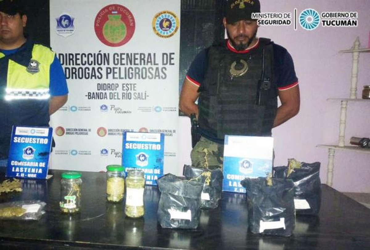 Secuestran picadura, flores y plantines de marihuana en Alderetes.