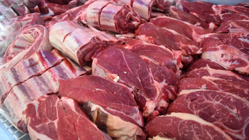 Carne: 