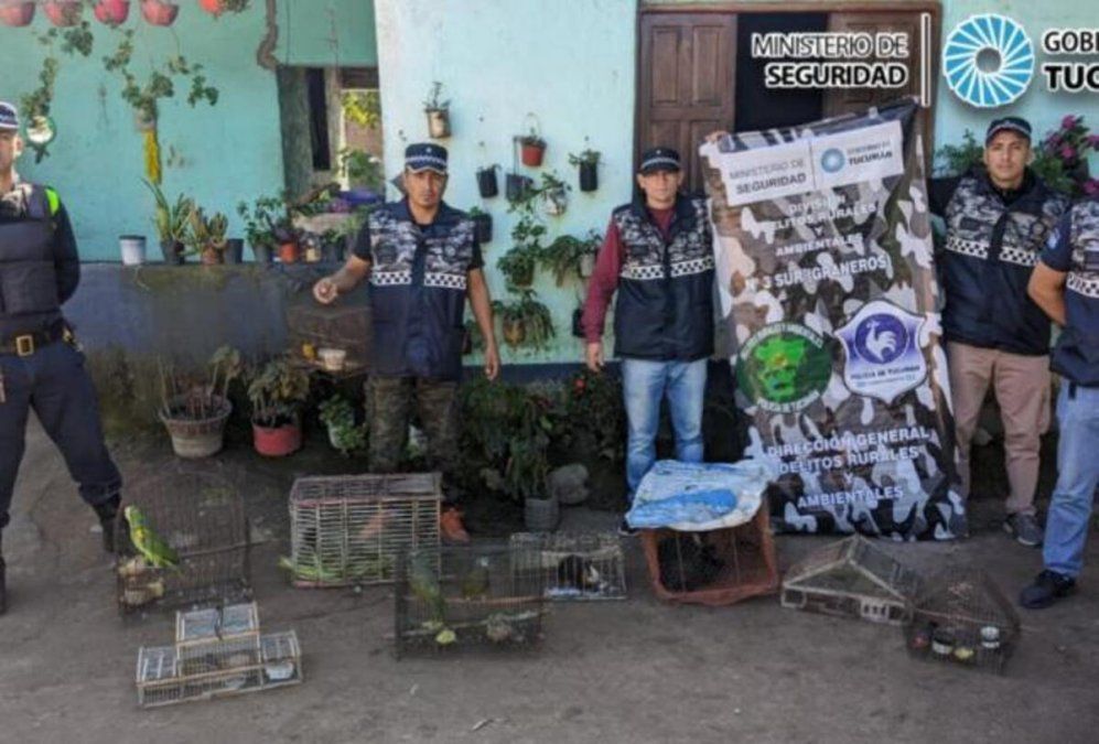 La Cocha: personal policial secuestró aves y serán liberadas