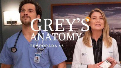 Netflix grey's anatomy season 16 new arrivals