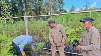 Impulsan el arbolado urbano desde el vivero provincial con entrega de plantines