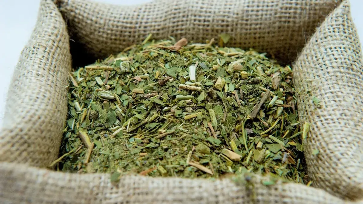 La cosecha de yerba mate cay&oacute; a m&iacute;nimos hist&oacute;ricos. &nbsp;
