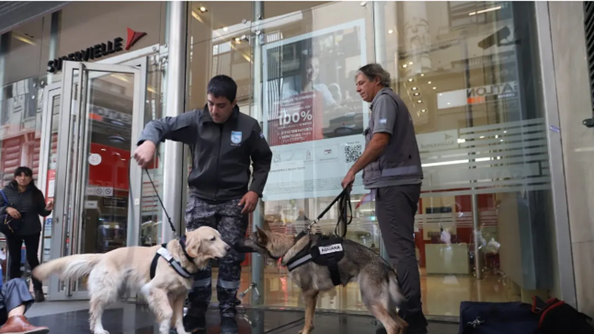 La Aduana allana 20 entidades bancarias por rulos ilegales con el dólar para importaciones.