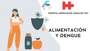 Dengue: ¿Cuáles son los cuidados alimenticios durante y el pos de la enfermedad?