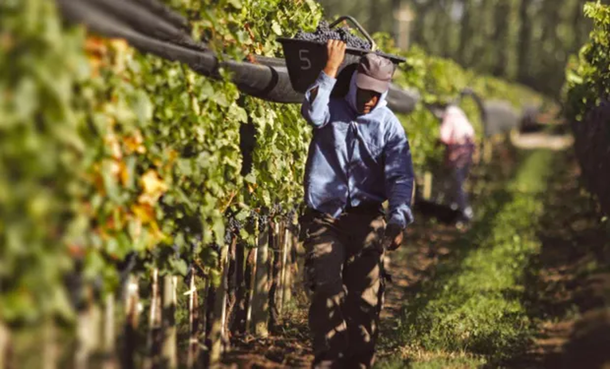 Proyecto de ley para compatibilizar planes sociales y empleo registrado.