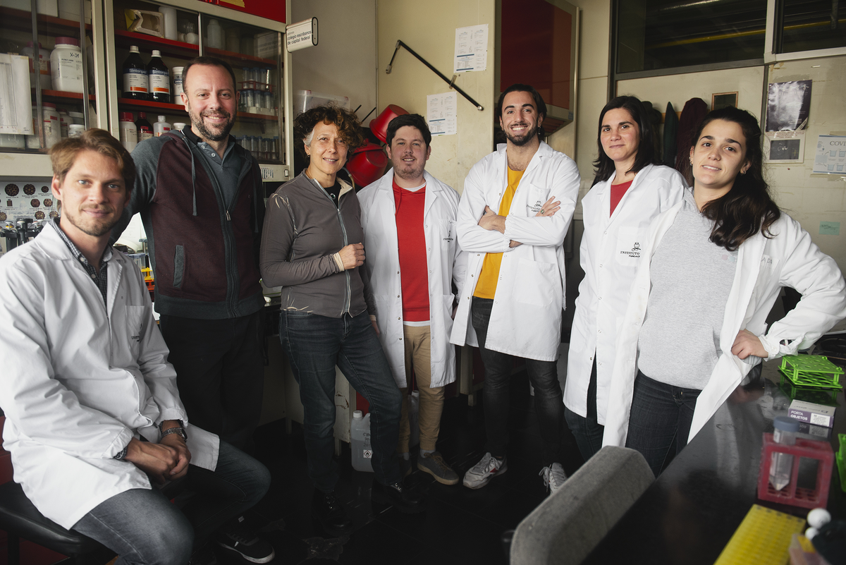 El laboratorio de virolog&iacute;a molecular liderado por Andrea Gamarnik.