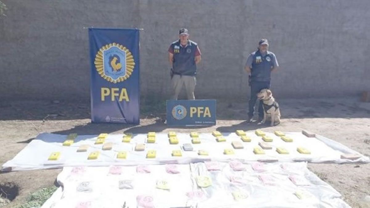 Secuestro: Un efectivo bonaerense llevaba 27.000 pastillas de éxtasis