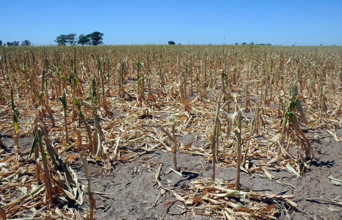 Sequía: se anunciaron medidas para productores afectados