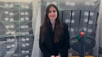 Tucumán y la exportación de ajíes gourmet: 