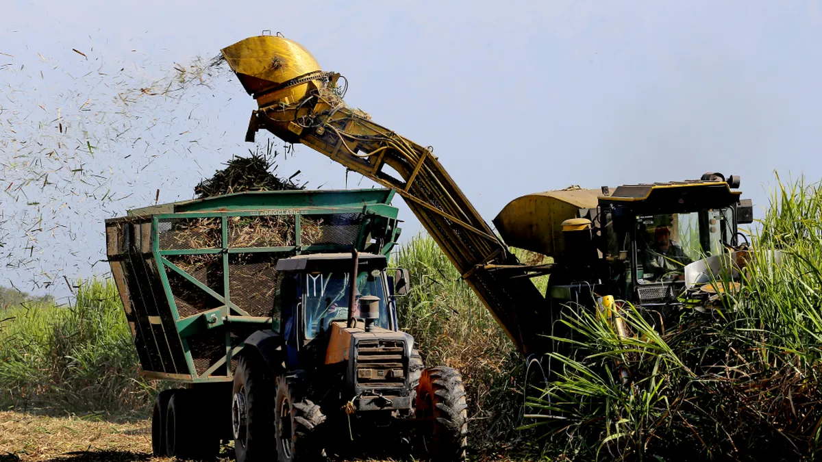 Estiman que la zafra puede extenderse hasta noviembre