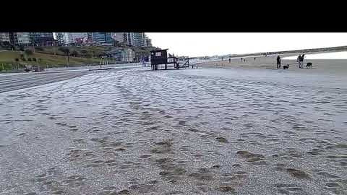 Se registraron nevadas leves en distintos sectores de Mar del Plata