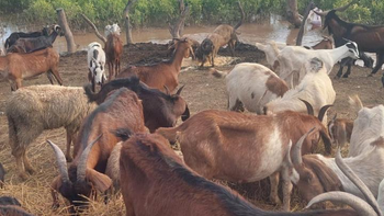 Continúa la asistencia en zonas de difícil acceso en La Madrid