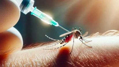 Vacunación contra el dengue: