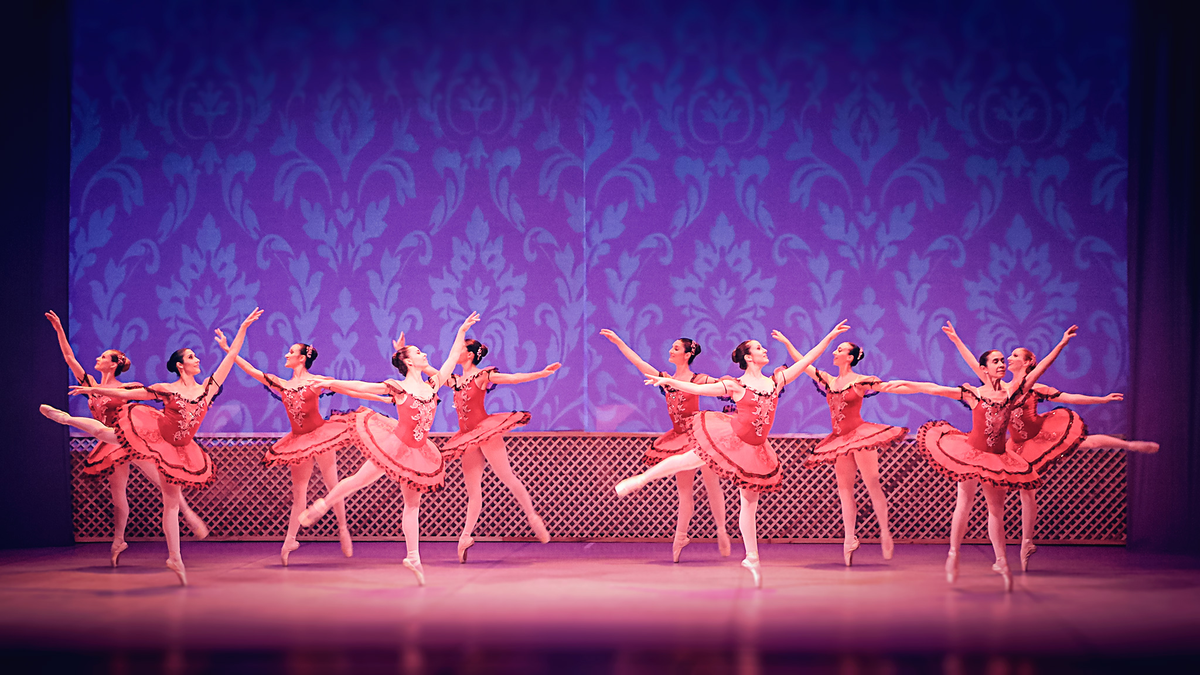 El Ballet Estable vuelve al escenario del Teatro San Martín