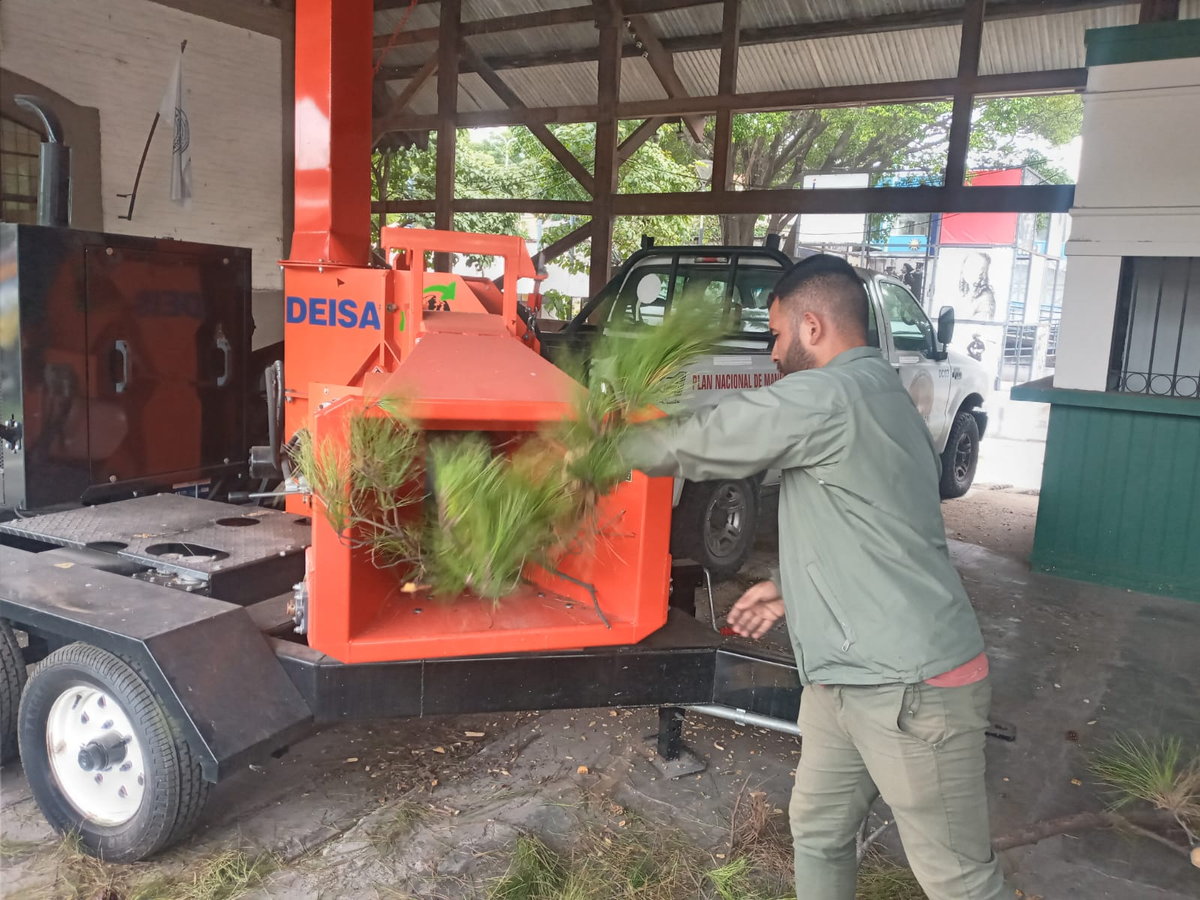 Hoy se conmemora el Día Internacional del Combatiente de Incendios Forestales.
