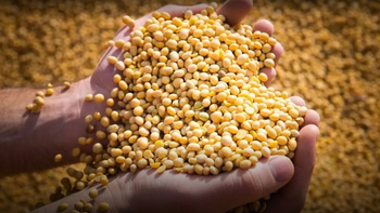 Semillas: APRONOR advierte que el Gobierno Nacional quiere imponer una norma