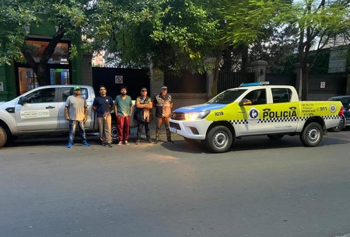 Personal de la Divisi&oacute;n de Delitos Rurales y Ambientales junto a la Justicia investigan qui&eacute;n introdujo al zorro en el local.