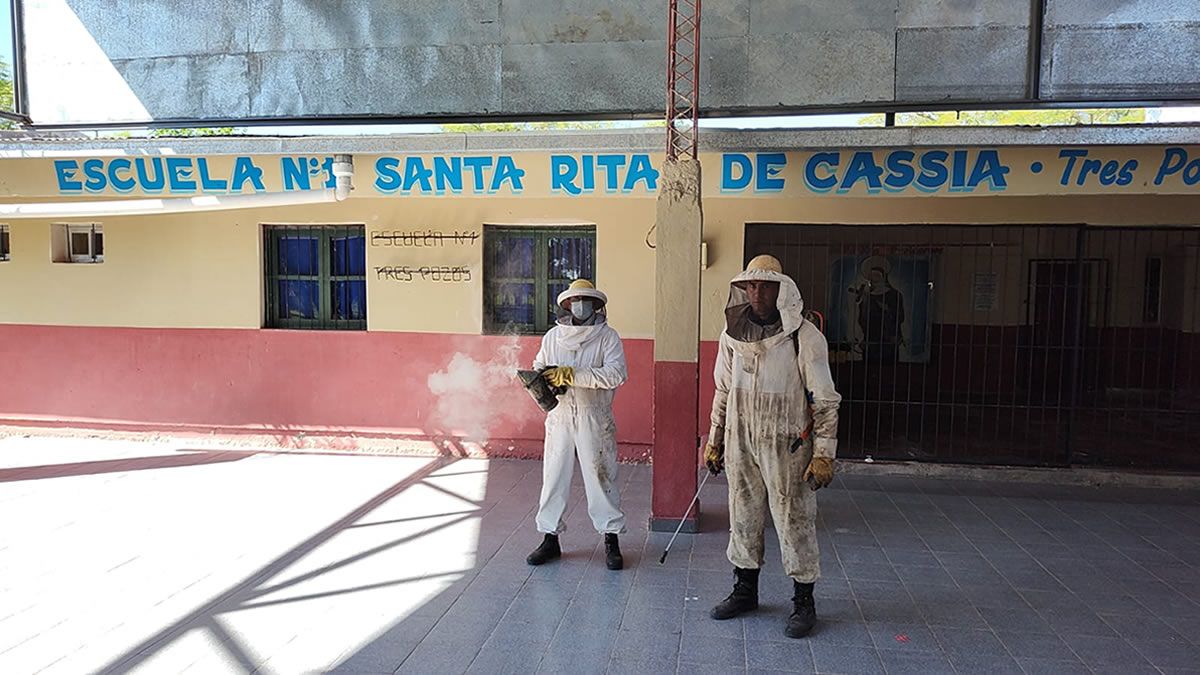 Dos alumnos fueron picados por abejas en una escuela