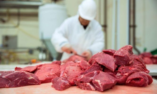 El precio de la carne vacuna aumentó 69,3% de manera interanual