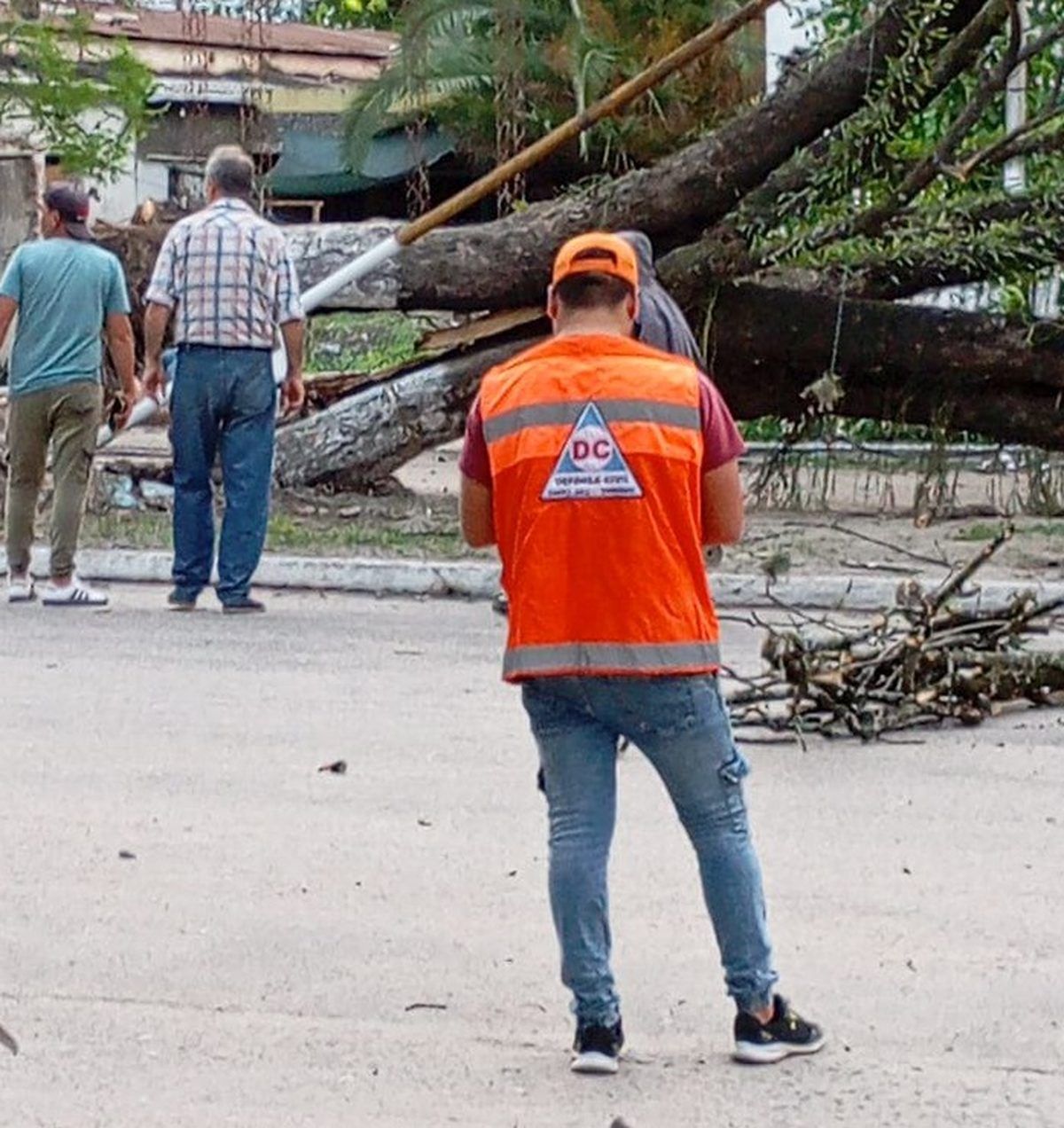 Personal de Defensa Civil trabaja en Santa Ana luego de que cayera un &aacute;rbol de gran porte producto de las fuertes r&aacute;fagas de vientos. (Foto: Comunicaci&oacute;n Tucum&aacute;n) &nbsp;