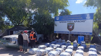 7 de Abril decomisan 600 kilos de hojas de coca en estado natural