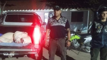 Decomisan 200 kilos de carne porcina que eran trasladados de manera ilegal