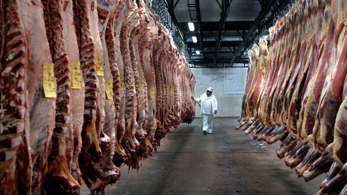 Las exportaciones de carne se suspenden por 30 días