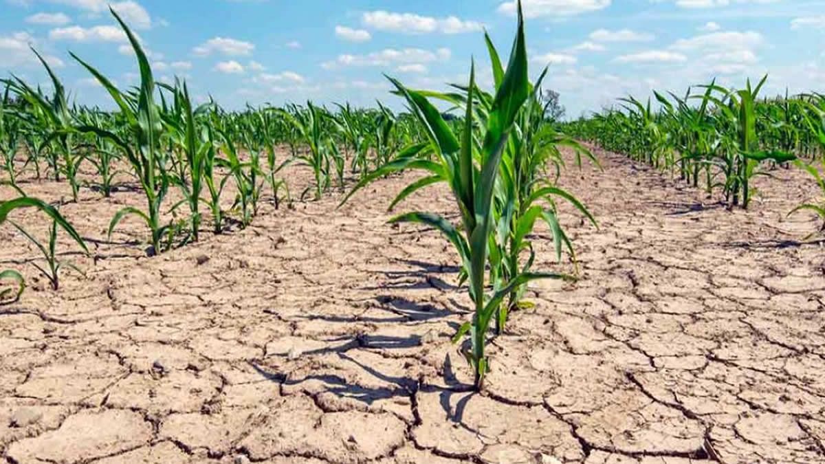 Sequía: ¿Cuánto tiempo más habrá un déficit de lluvias?